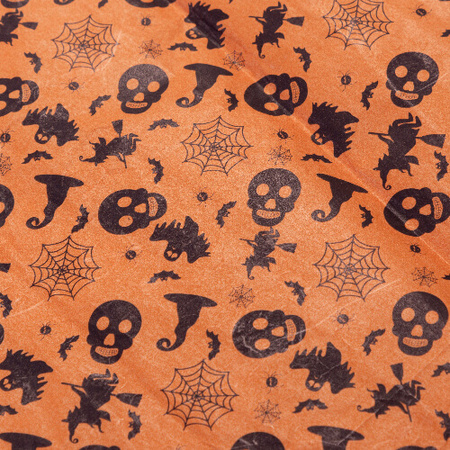 Craft Express hydro-transfer foil - Halloween Skull Spider Witch