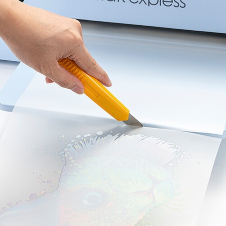 DTF printing foil 30 cm x 100 m