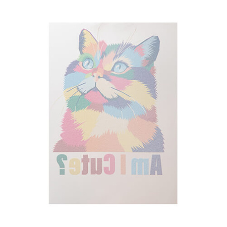 DTF A3 printing film